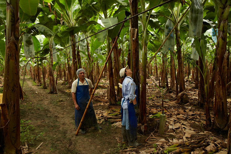 Fairtrade Fortnight
