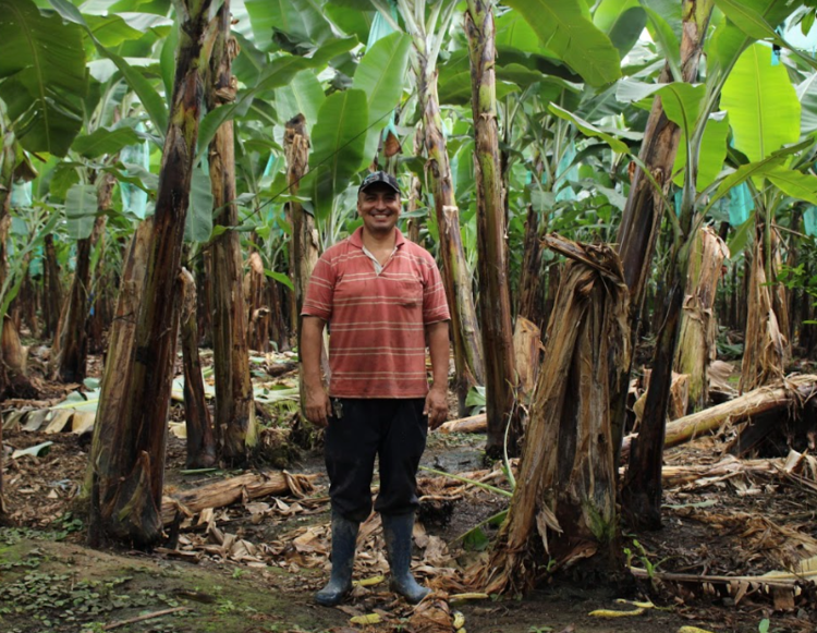 What the Fairtrade label on our products means – and why you should care.