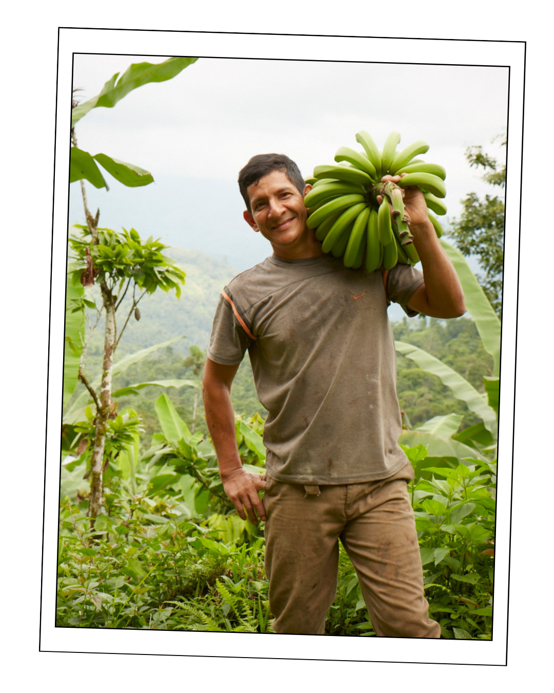 Wilson's Awesome Organic Bananas